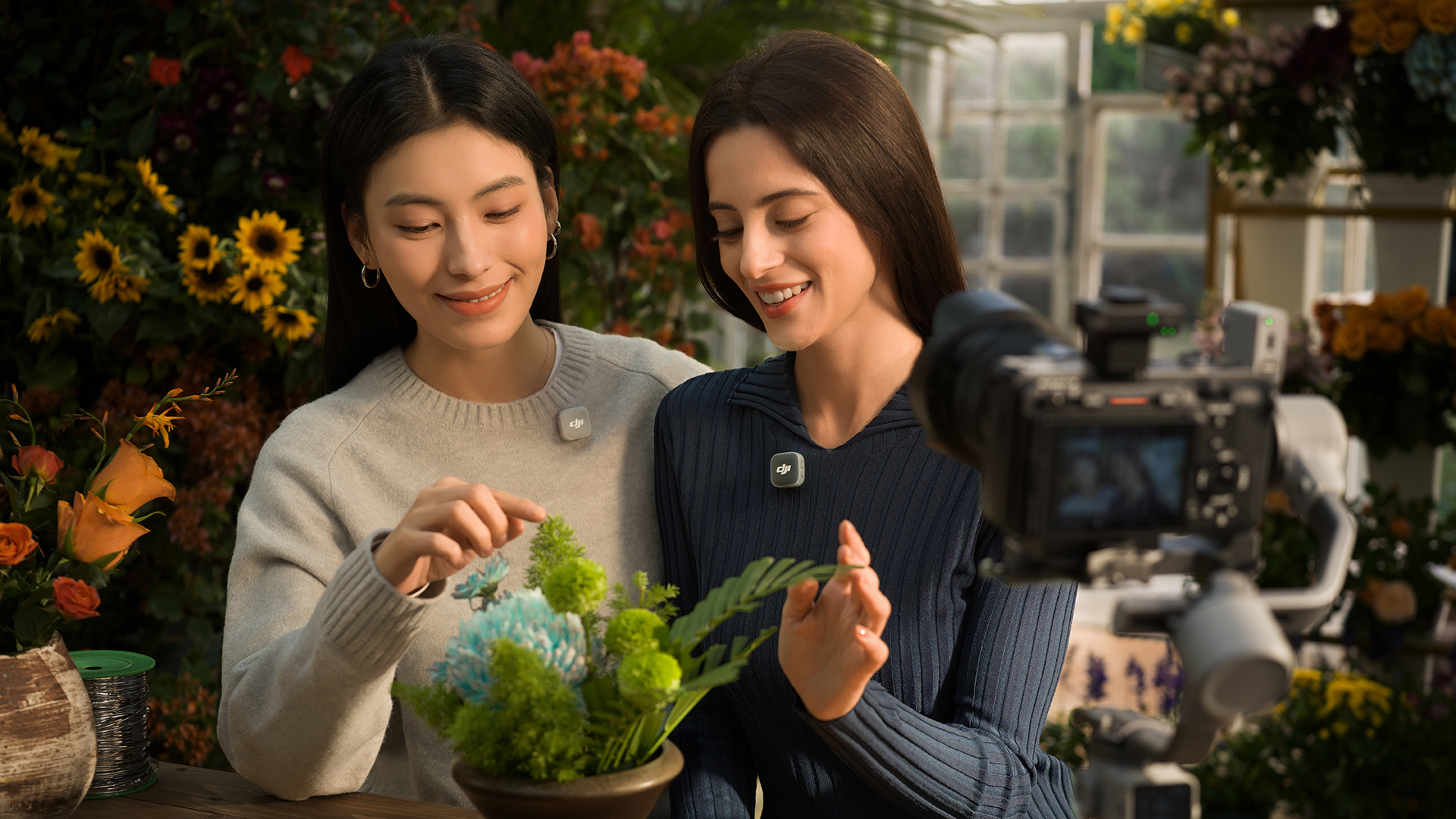 DJI Mic Mini 2 Canlı Renkler