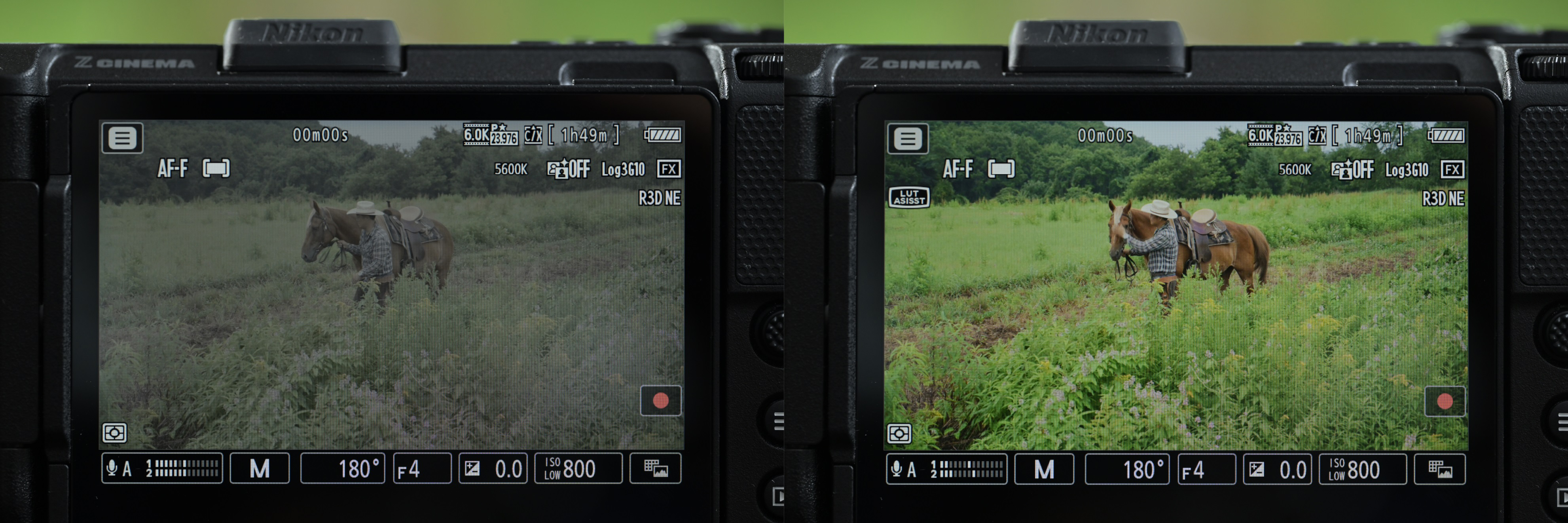 Nikon ZR