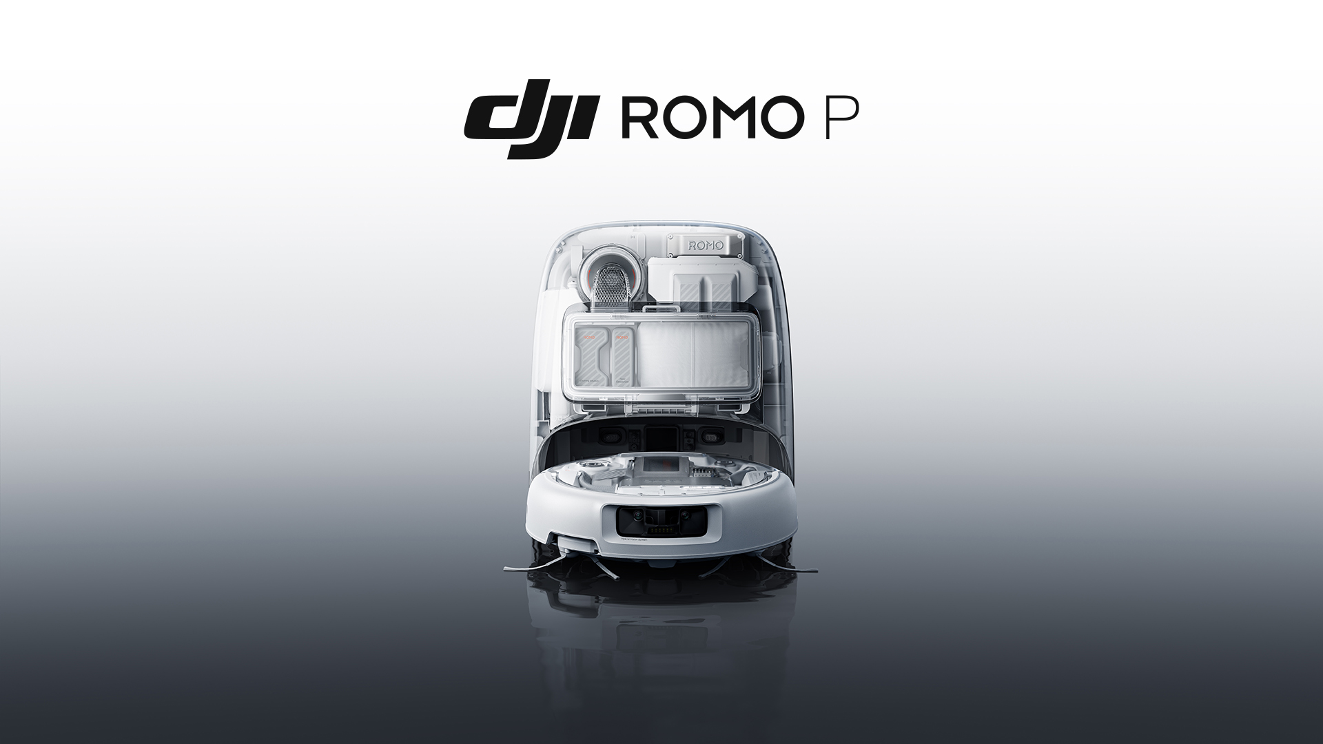 DJI Romo P