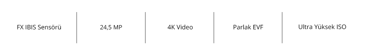 Z 6III