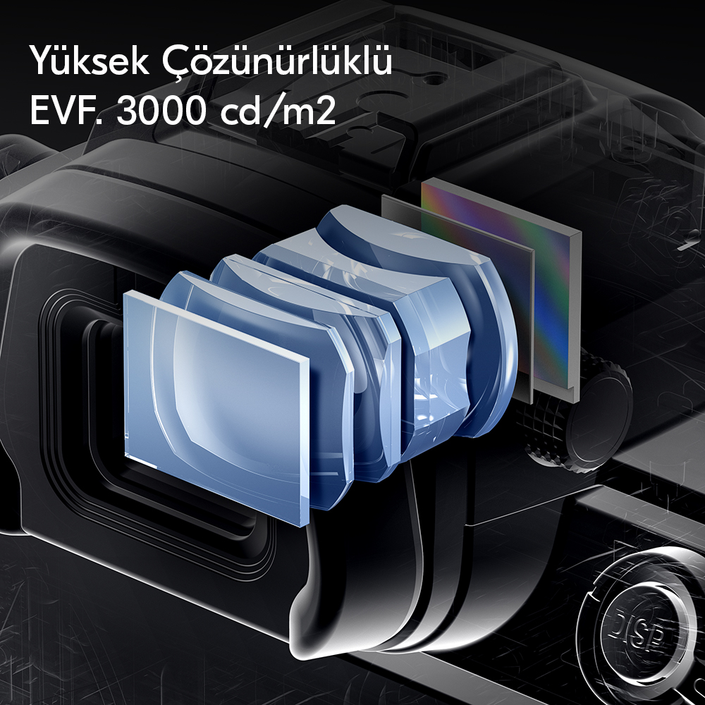 Z 6III